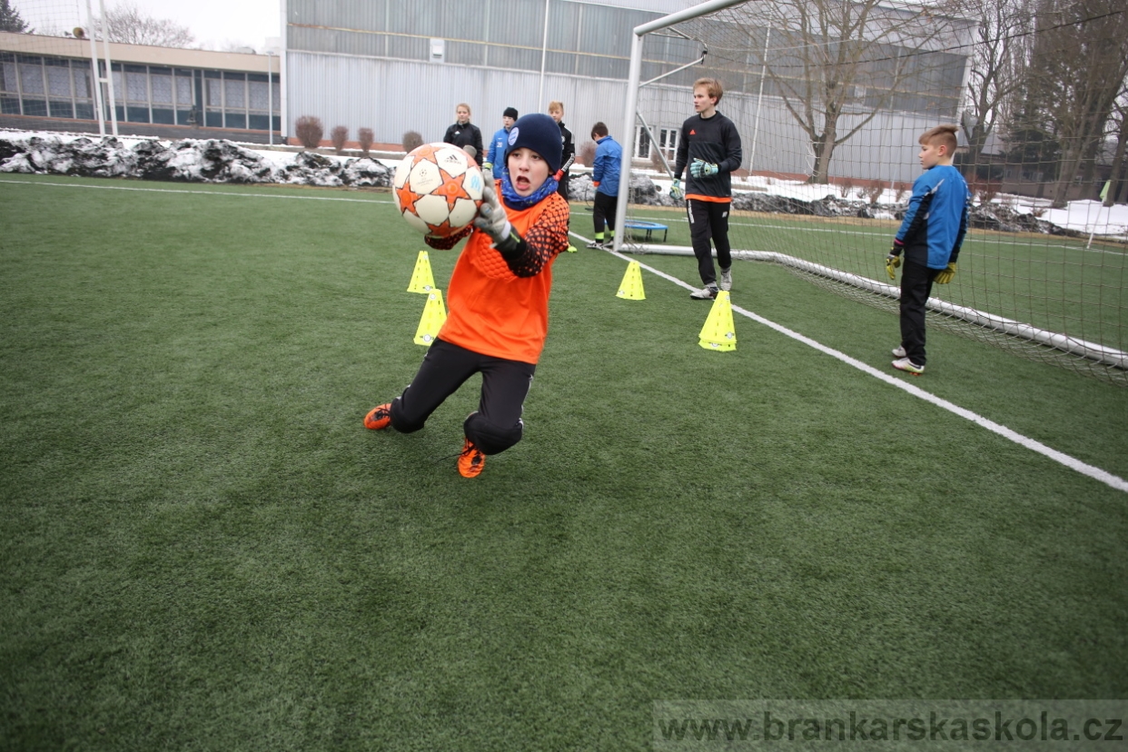 BFŠJCH - Zima 2017 - 4.2,2017