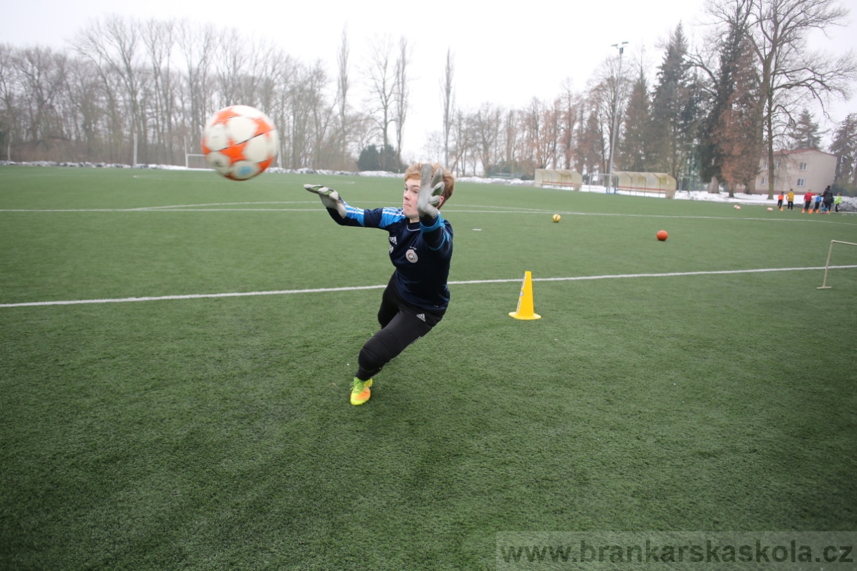 BFŠJCH - Zima 2017 - 4.2,2017