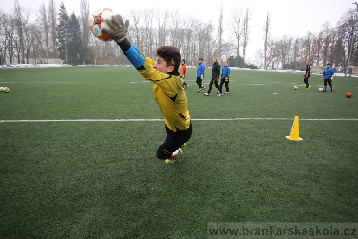 BFŠJCH - Zima 2017 - 4.2,2017