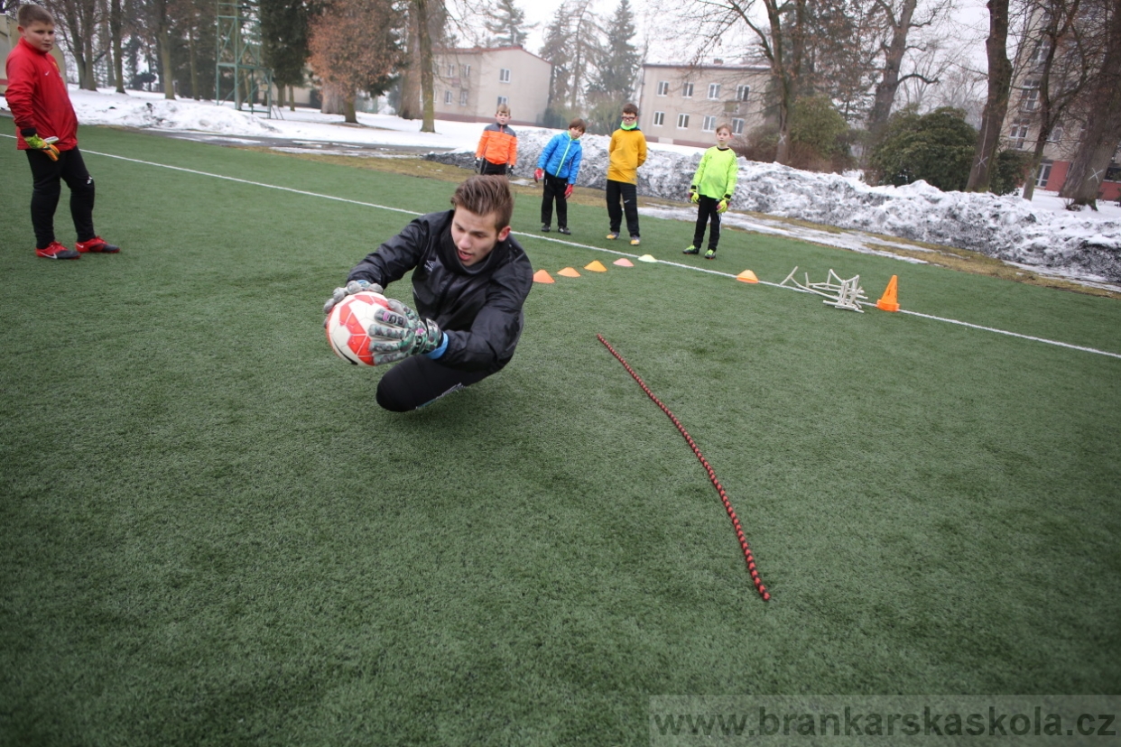 BFŠJCH - Zima 2017 - 4.2,2017