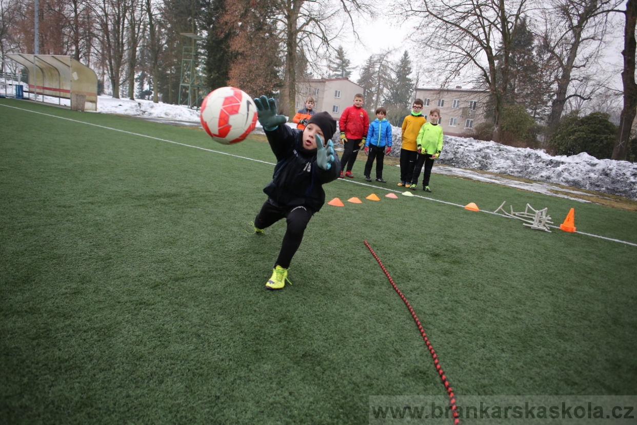 BFŠJCH - Zima 2017 - 4.2,2017