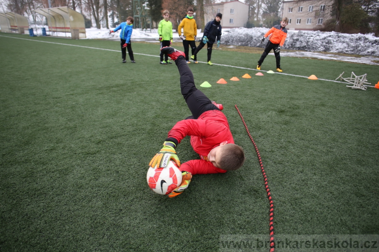BFŠJCH - Zima 2017 - 4.2,2017