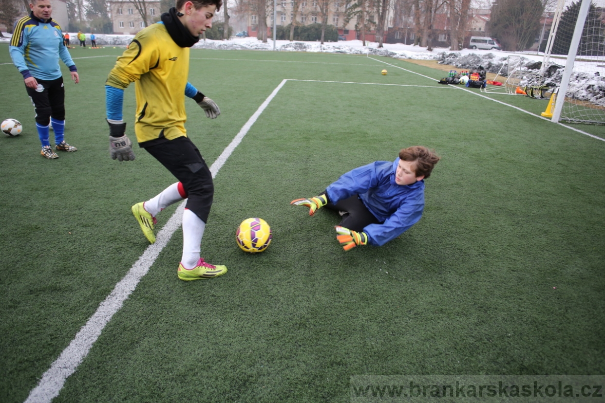 BFŠJCH - Zima 2017 - 4.2,2017