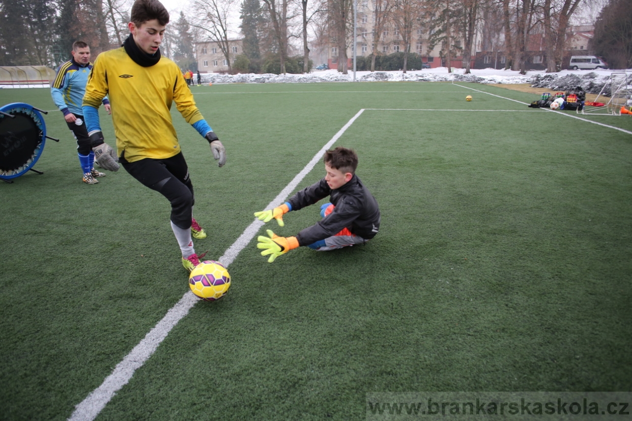 BFŠJCH - Zima 2017 - 4.2,2017
