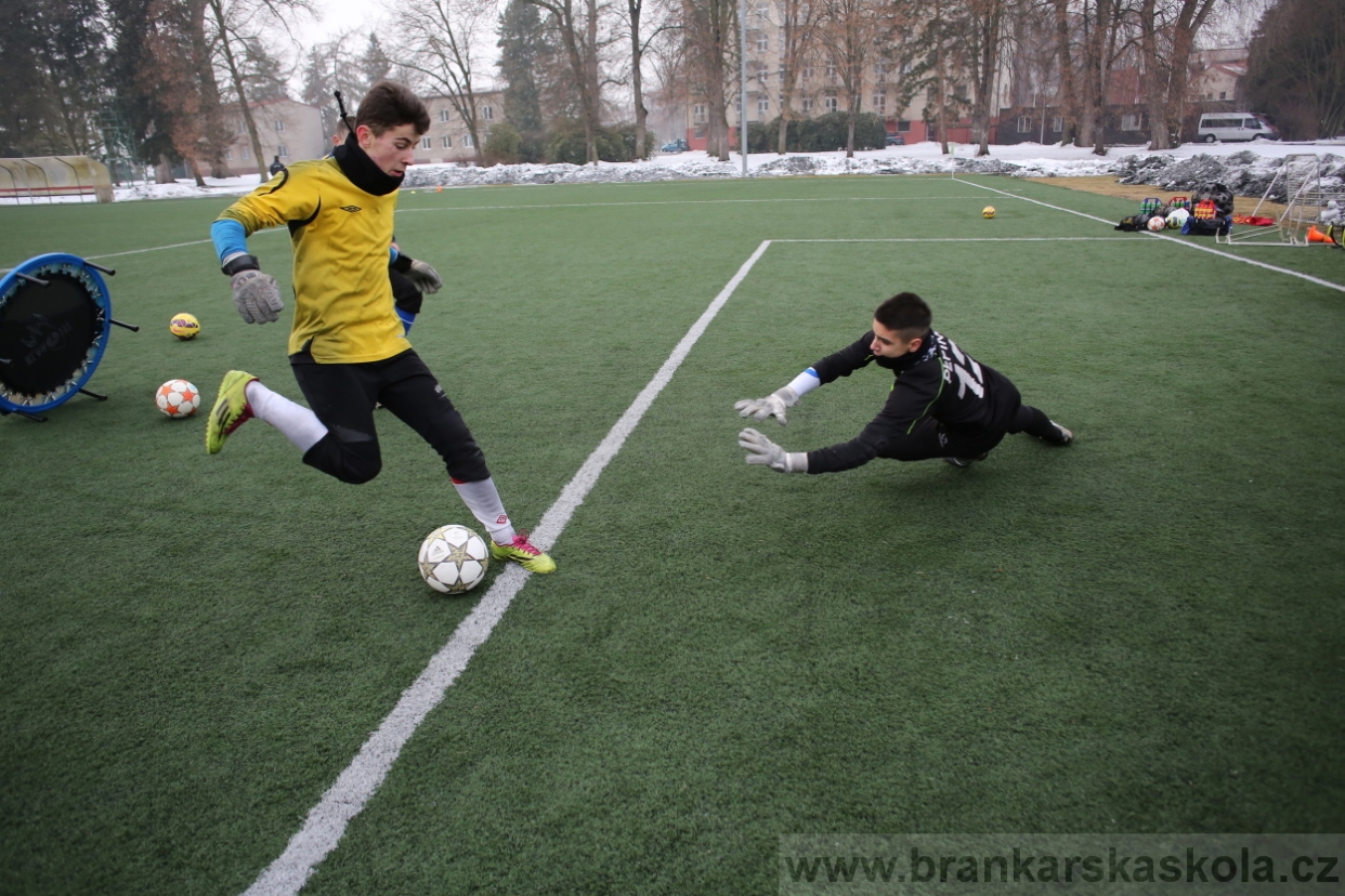 BFŠJCH - Zima 2017 - 4.2,2017