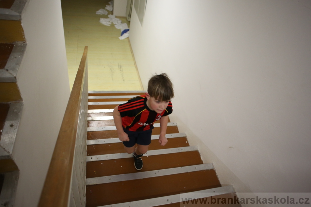 BFŠJCH - Zima 2017 - 4.2,2017