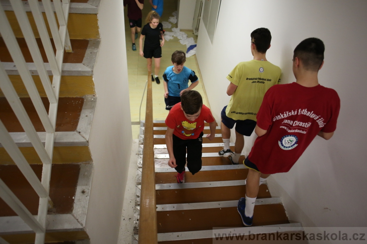 BFŠJCH - Zima 2017 - 4.2,2017