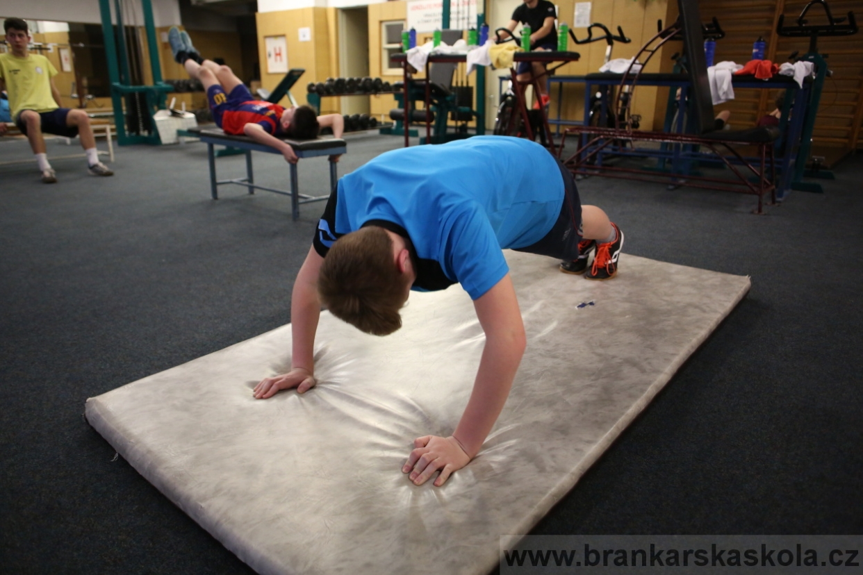 BFŠJCH - Zima 2017 - 4.2,2017