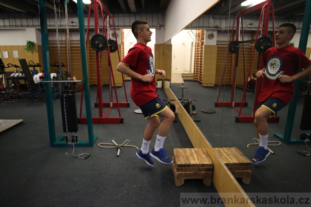 BFŠJCH - Zima 2017 - 4.2,2017