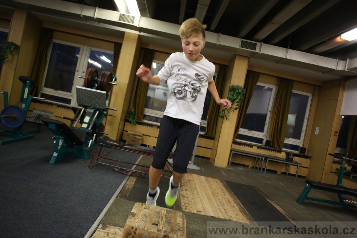 BFŠJCH - Zima 2017 - 4.2,2017