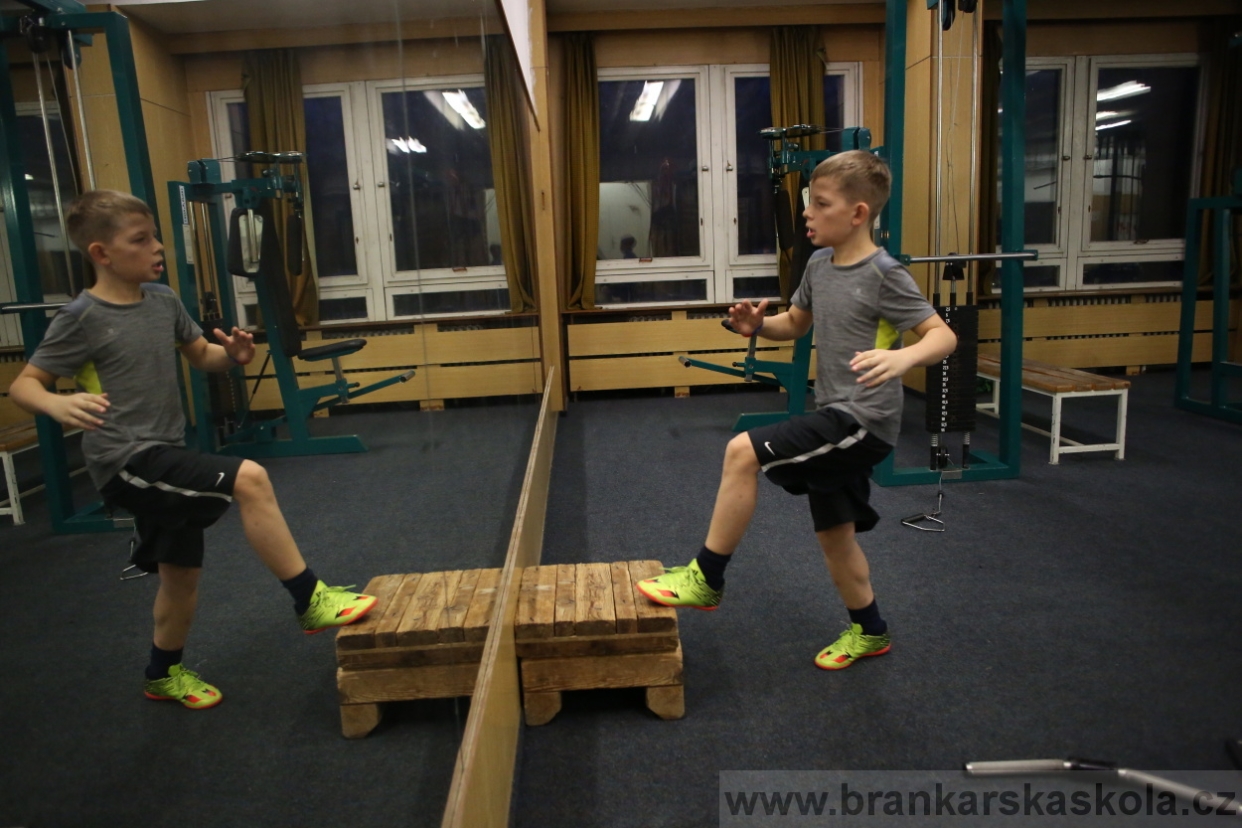 BFŠJCH - Zima 2017 - 4.2,2017