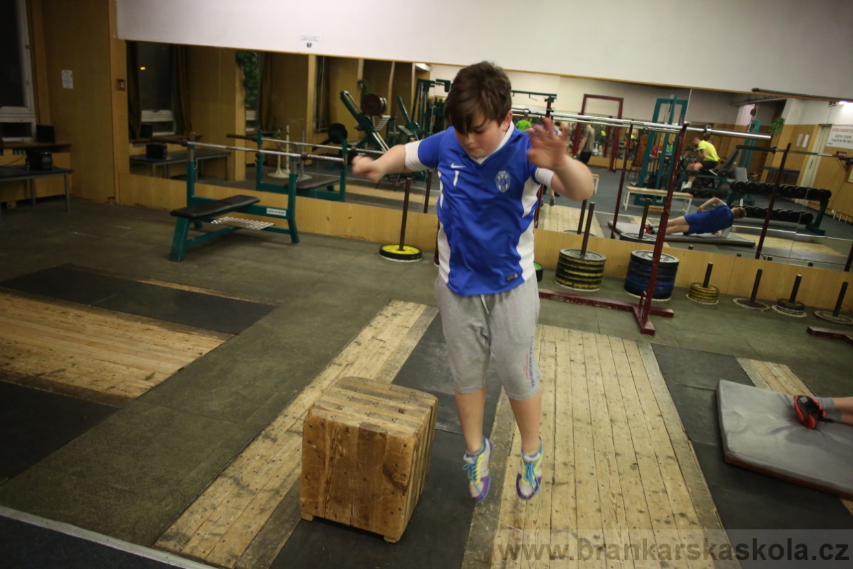 BFŠJCH - Zima 2017 - 4.2,2017