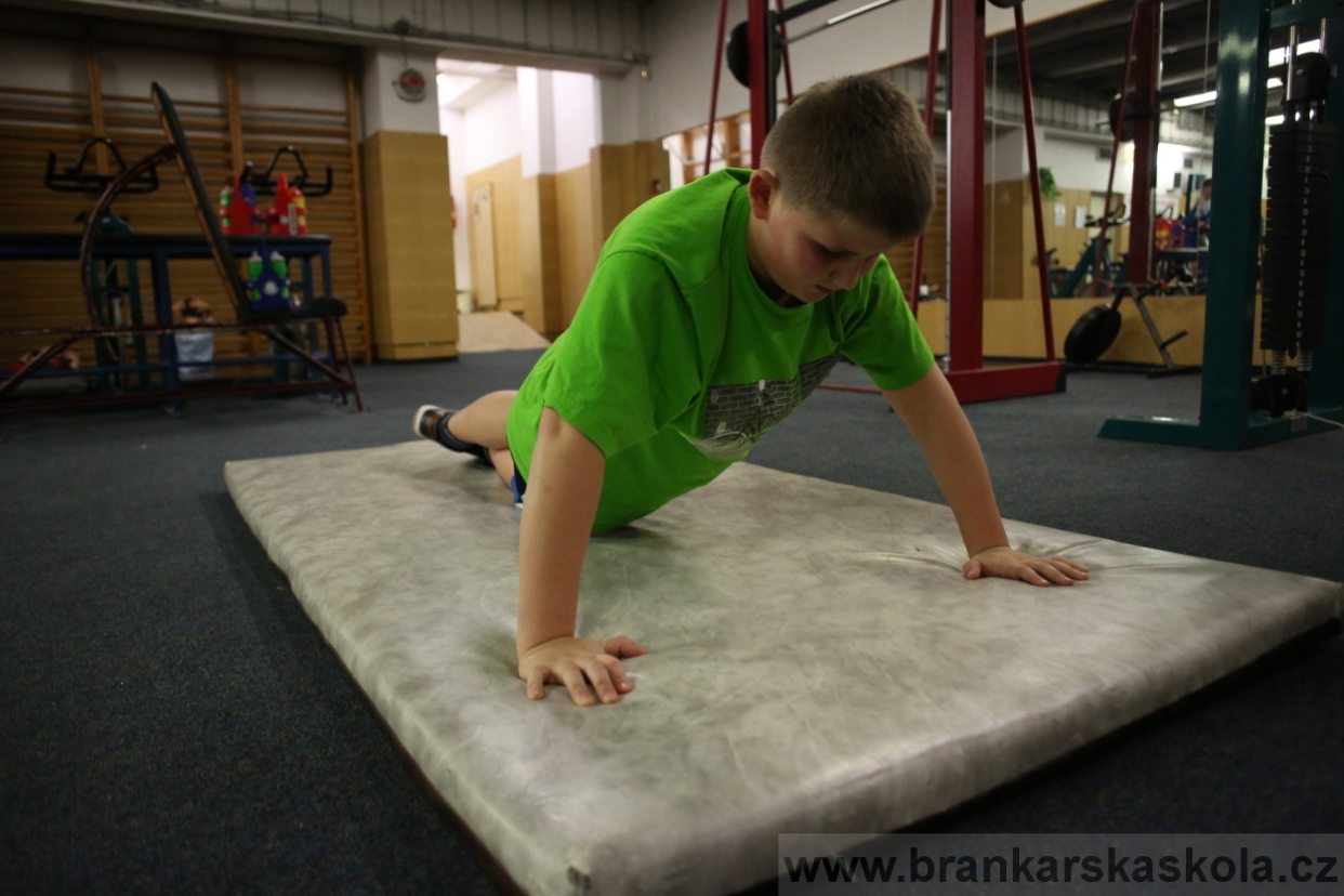 BFŠJCH - Zima 2017 - 4.2,2017