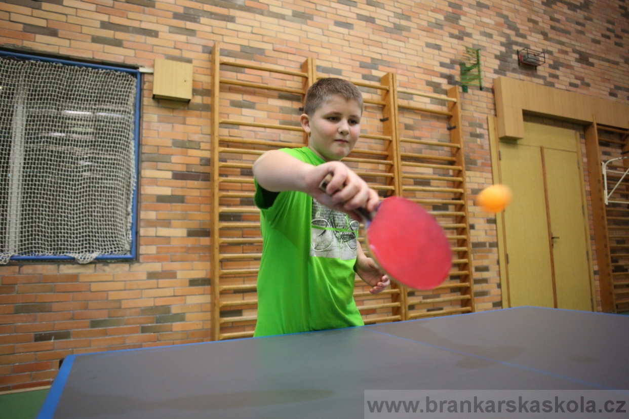 BFŠJCH - Zima 2017 - 4.2,2017