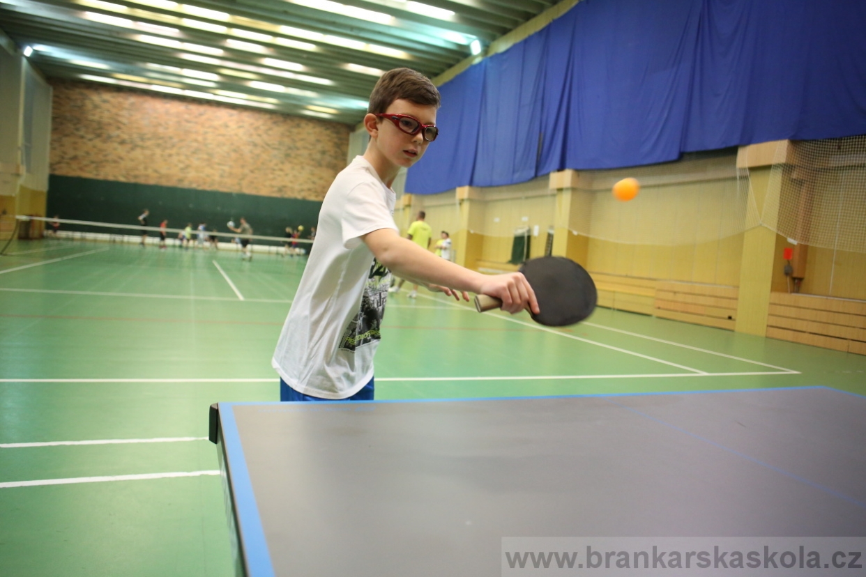 BFŠJCH - Zima 2017 - 4.2,2017