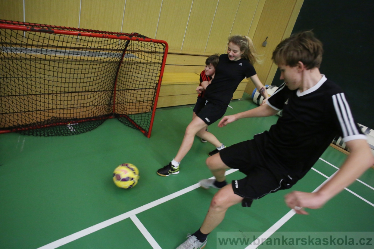 BFŠJCH - Zima 2017 - 4.2,2017