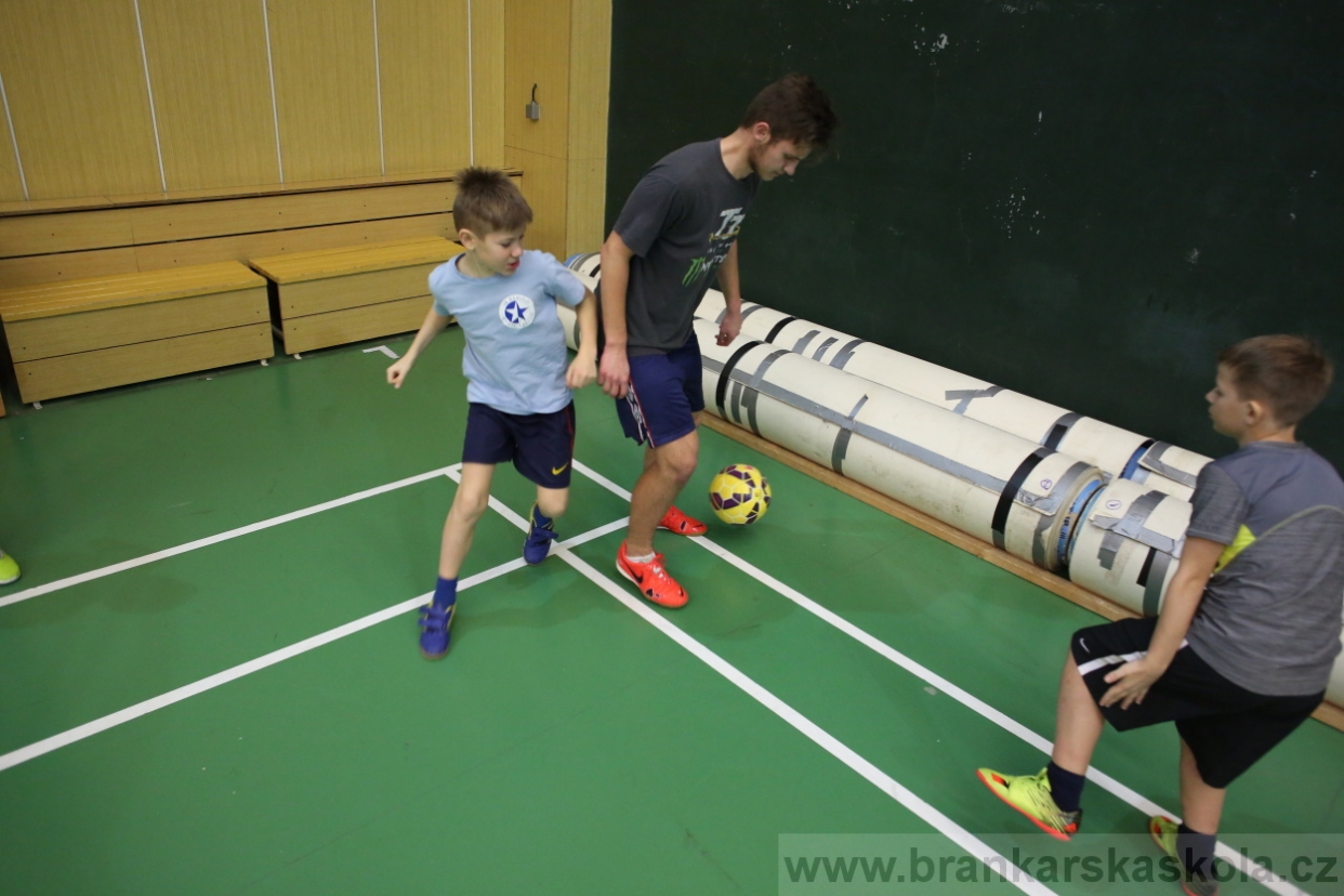 BFŠJCH - Zima 2017 - 4.2,2017