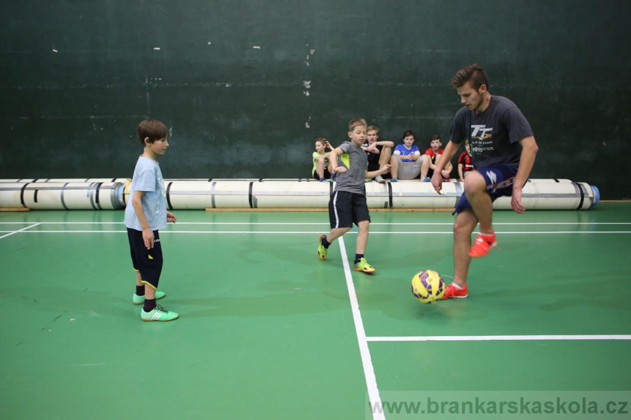 BFŠJCH - Zima 2017 - 4.2,2017