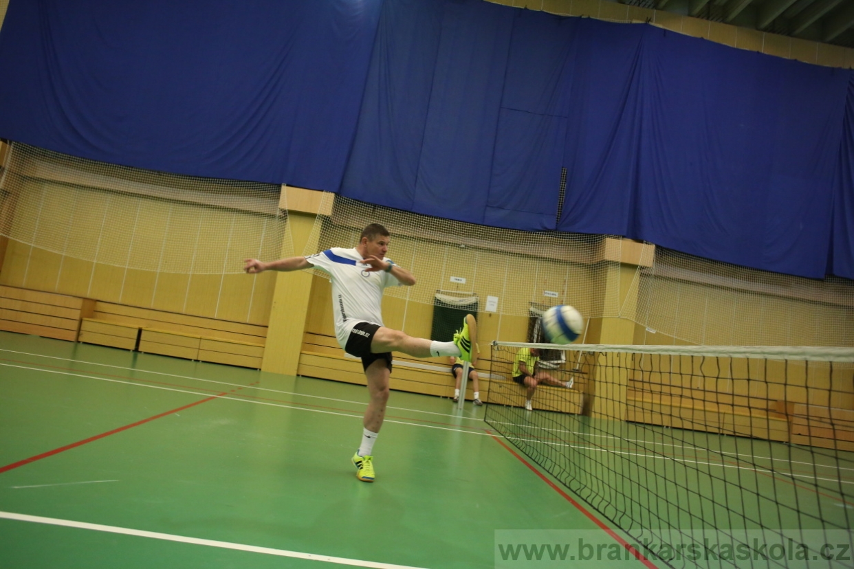 BFŠJCH - Zima 2017 - 4.2,2017