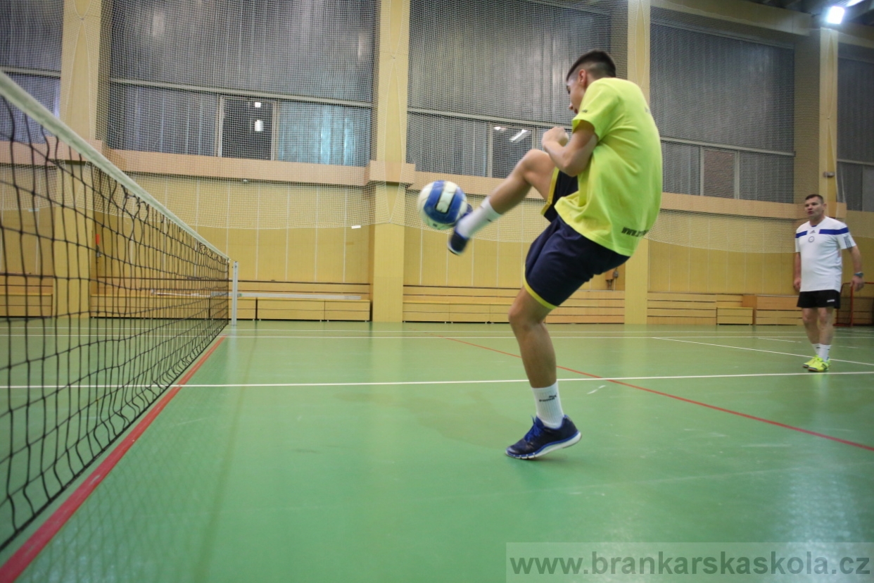 BFŠJCH - Zima 2017 - 4.2,2017