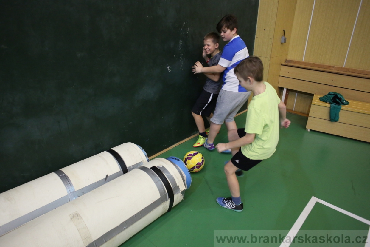 BFŠJCH - Zima 2017 - 4.2,2017