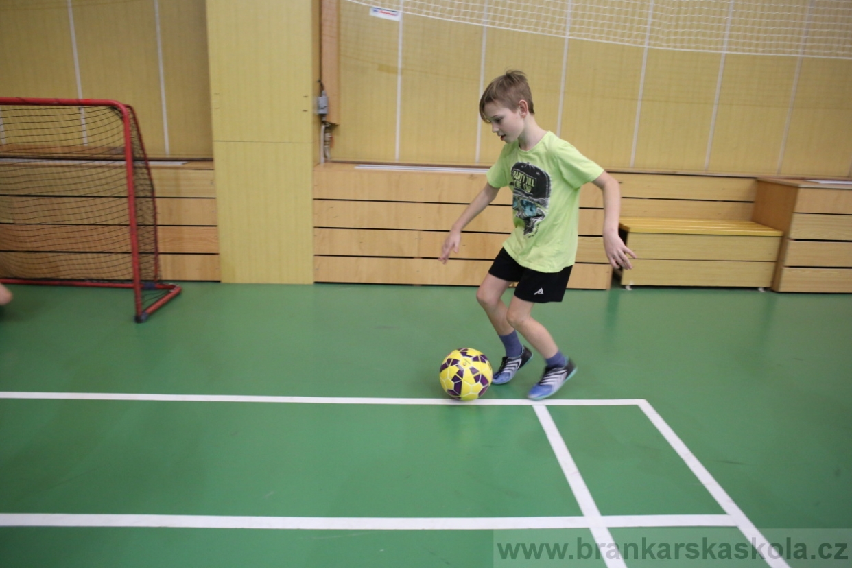 BFŠJCH - Zima 2017 - 4.2,2017