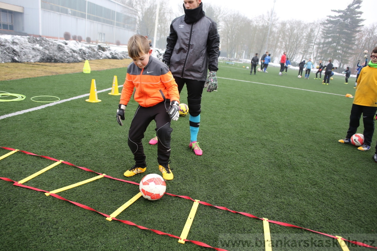 BFŠJCH - Zima 2017 - 5.2,2017