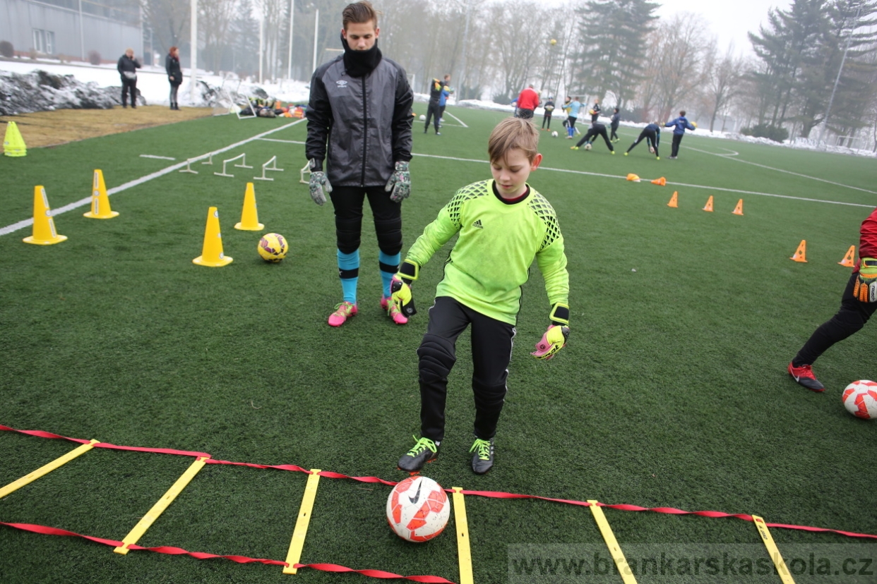 BFŠJCH - Zima 2017 - 5.2,2017
