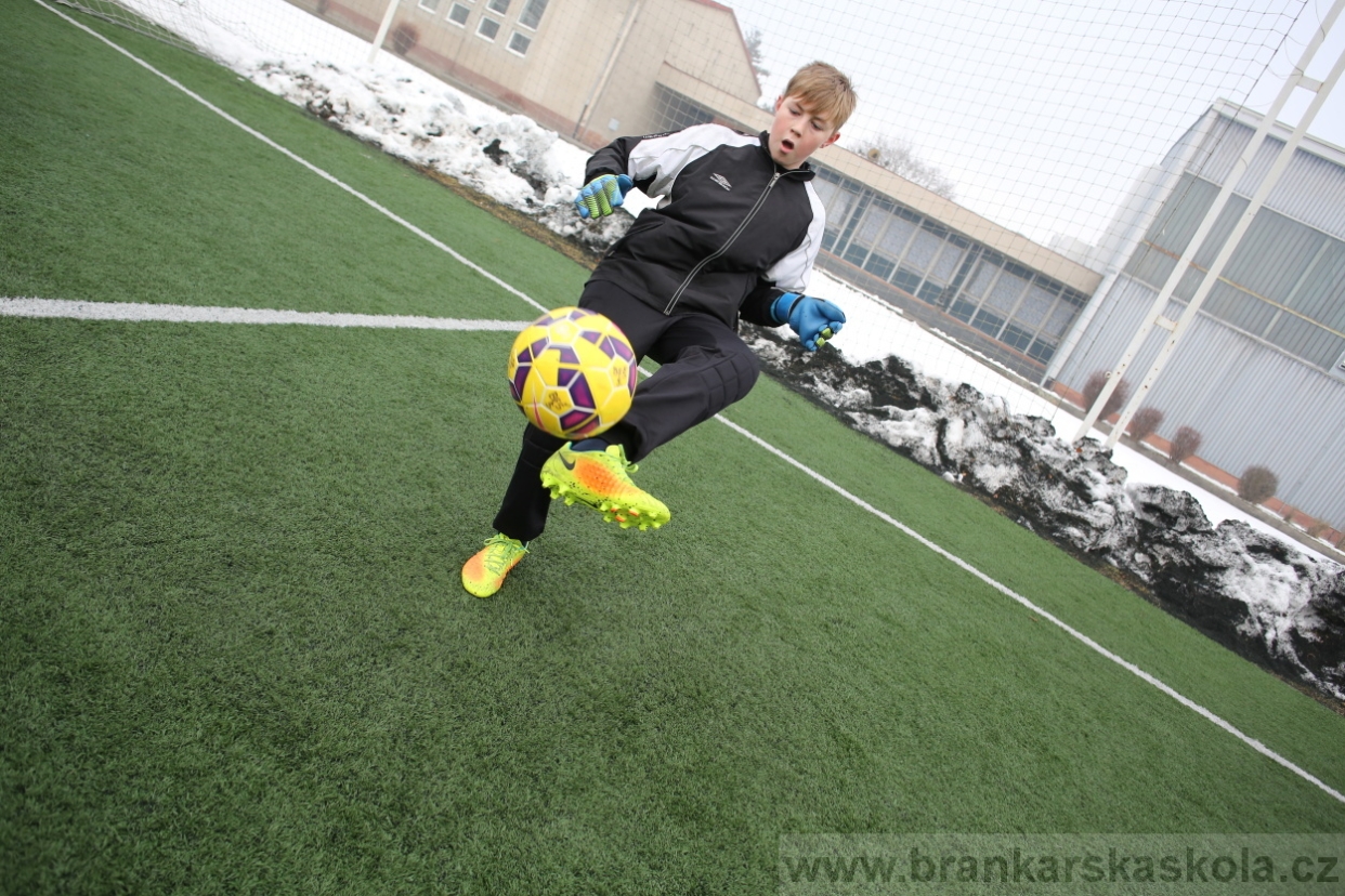 BFŠJCH - Zima 2017 - 5.2,2017