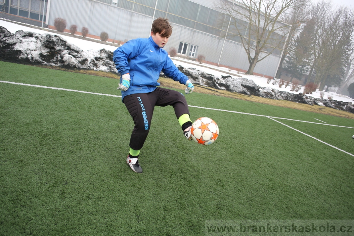 BFŠJCH - Zima 2017 - 5.2,2017