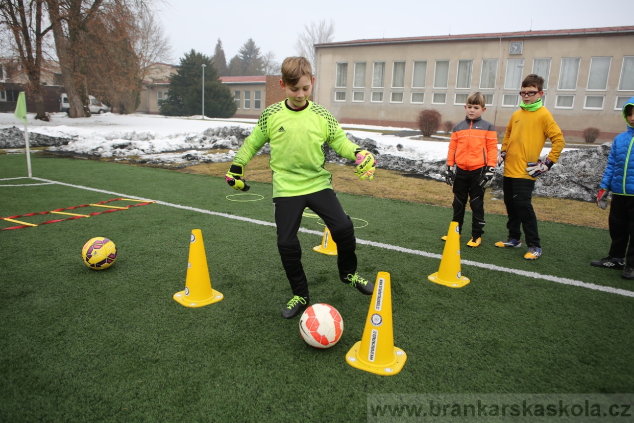 BFŠJCH - Zima 2017 - 5.2,2017