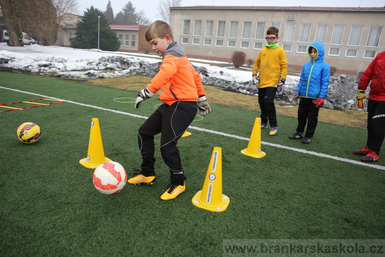 BFŠJCH - Zima 2017 - 5.2,2017