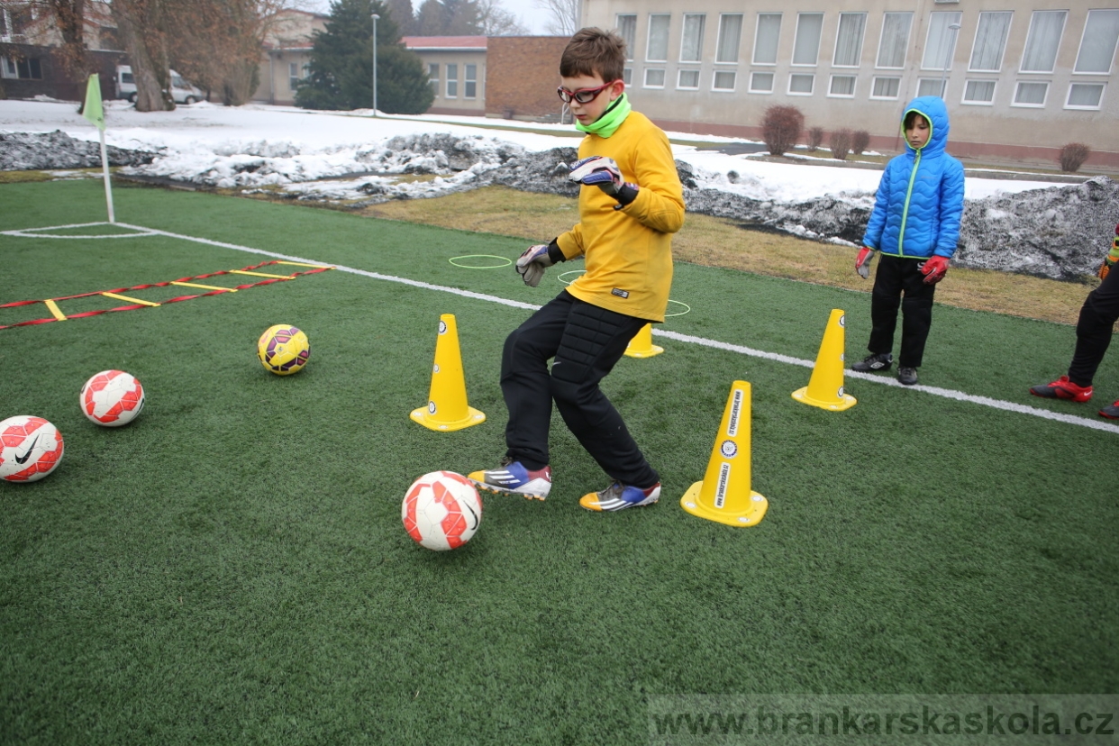 BFŠJCH - Zima 2017 - 5.2,2017