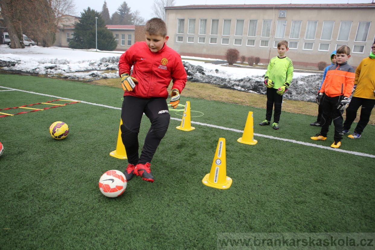 BFŠJCH - Zima 2017 - 5.2,2017