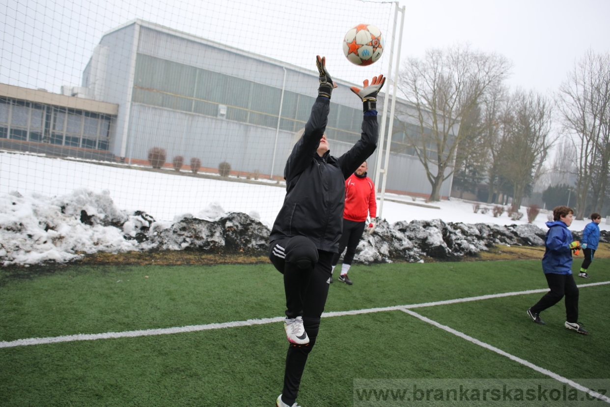 BFŠJCH - Zima 2017 - 5.2,2017