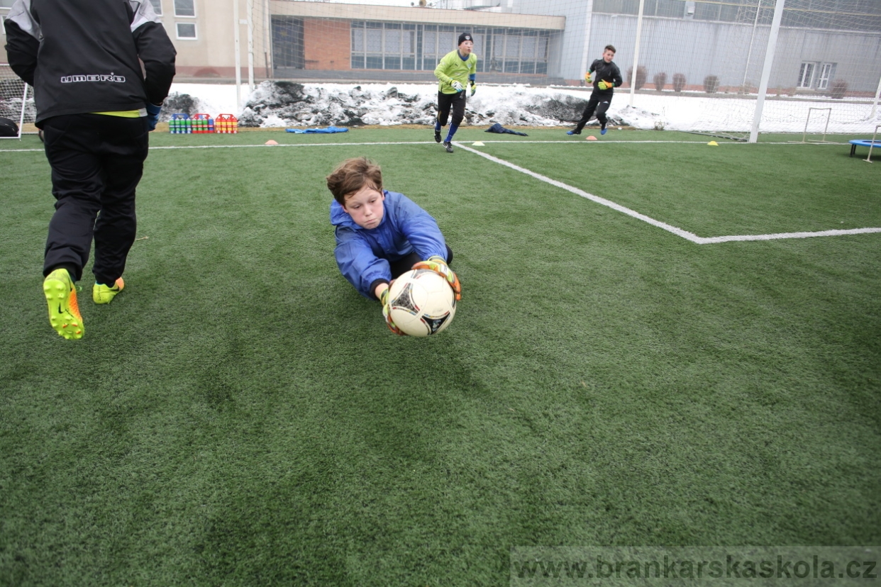 BFŠJCH - Zima 2017 - 5.2,2017