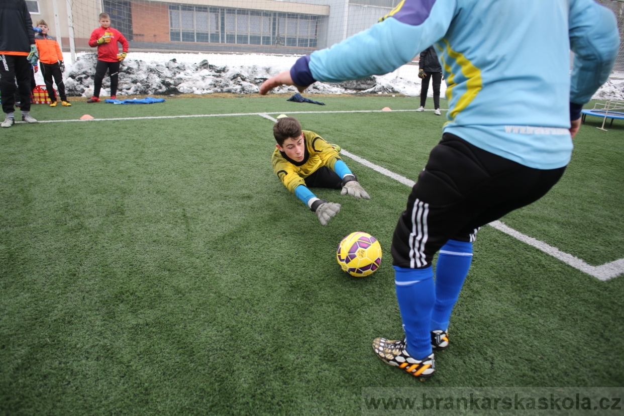 BFŠJCH - Zima 2017 - 5.2,2017