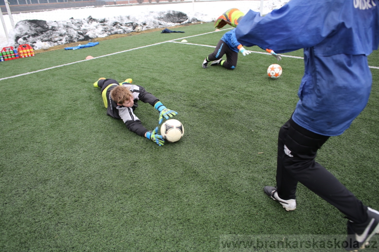 BFŠJCH - Zima 2017 - 5.2,2017