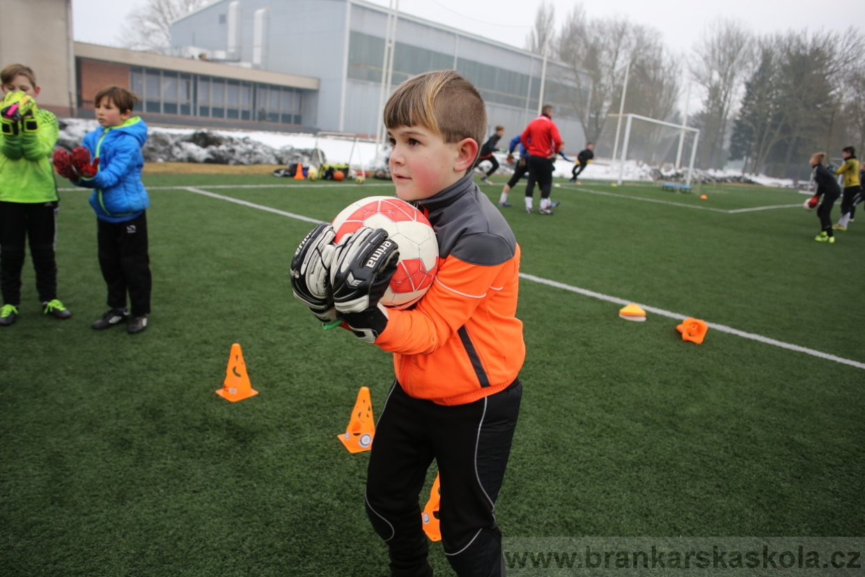 BFŠJCH - Zima 2017 - 5.2,2017