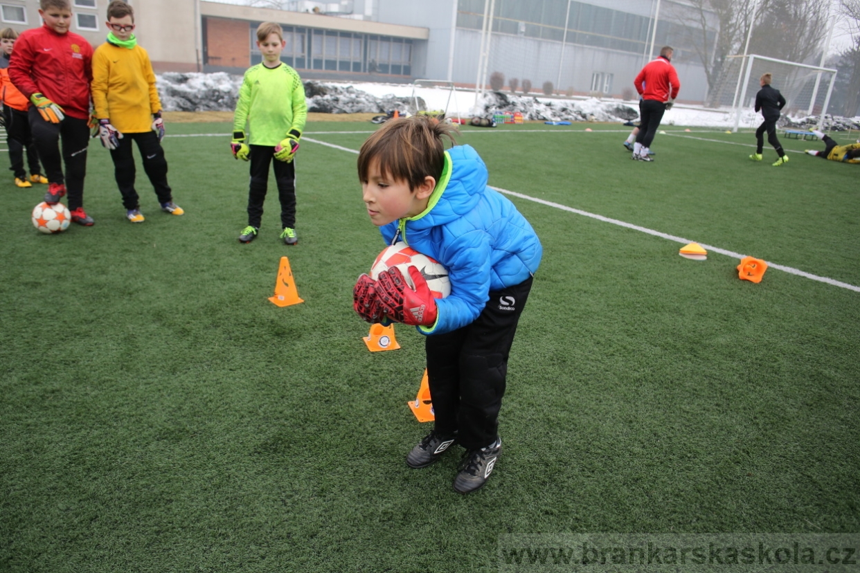 BFŠJCH - Zima 2017 - 5.2,2017