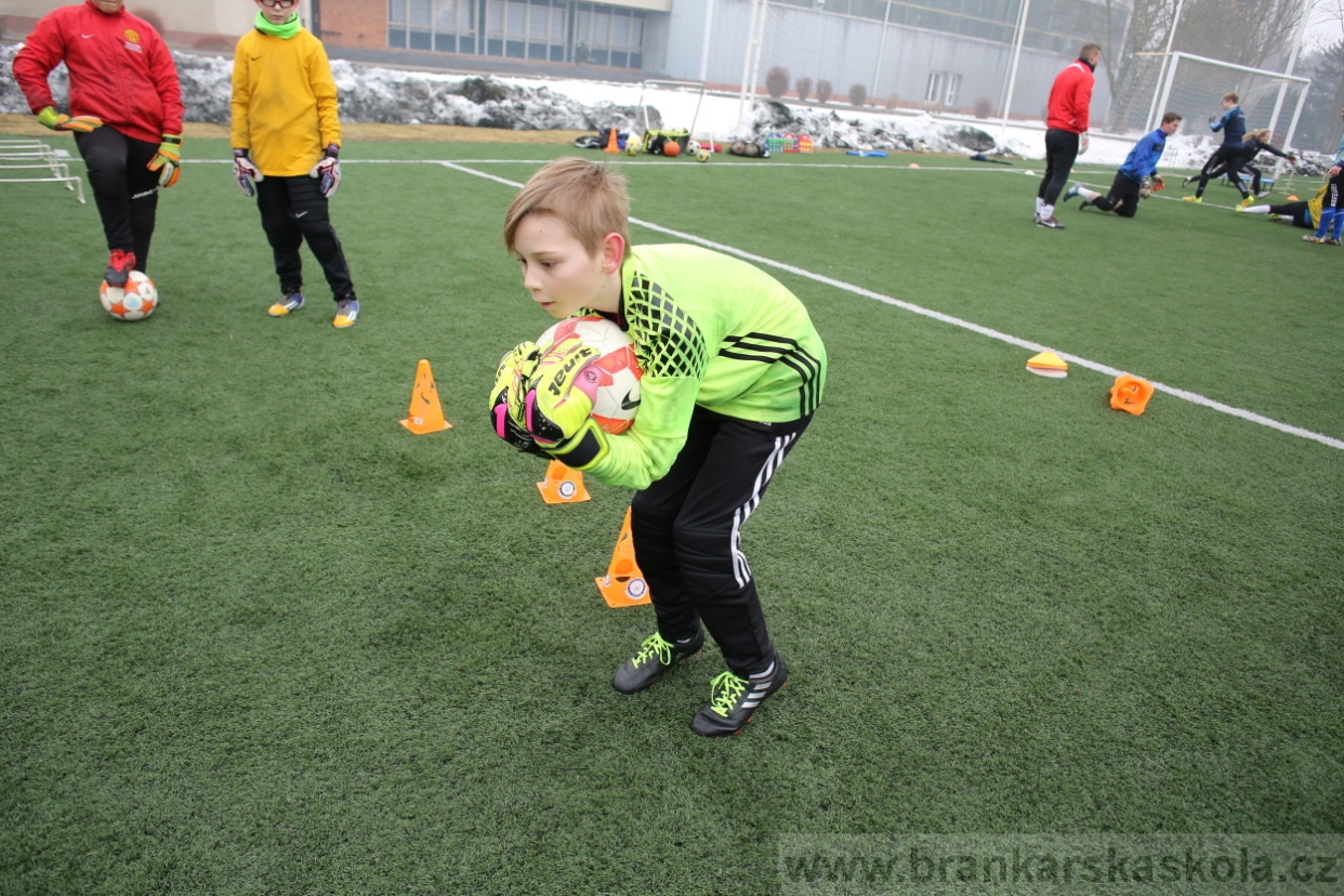BFŠJCH - Zima 2017 - 5.2,2017