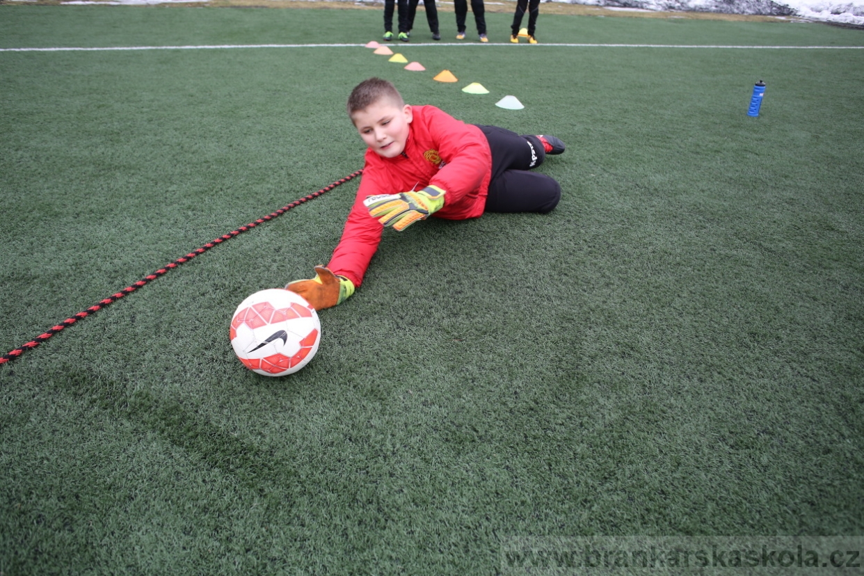 BFŠJCH - Zima 2017 - 5.2,2017