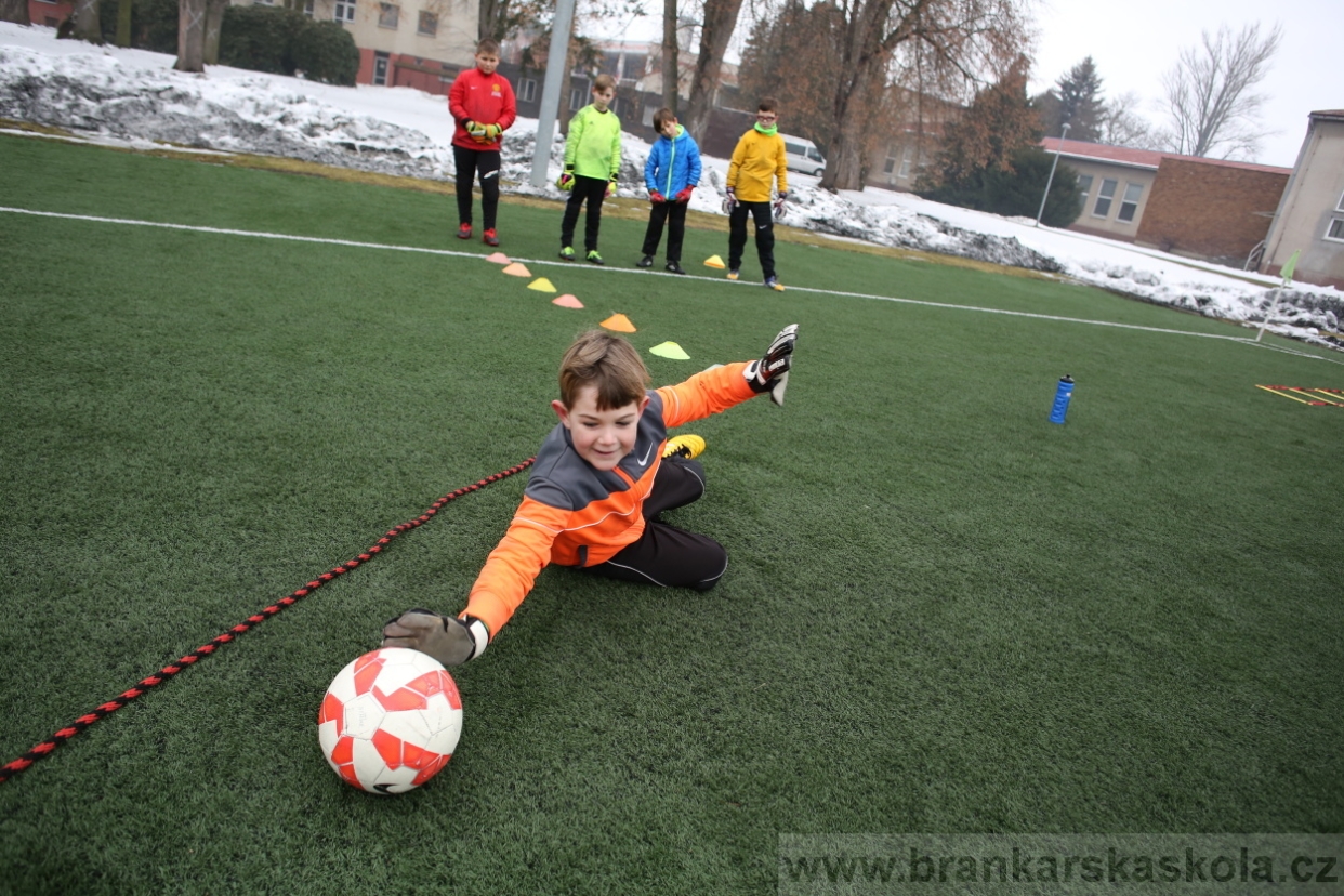 BFŠJCH - Zima 2017 - 5.2,2017