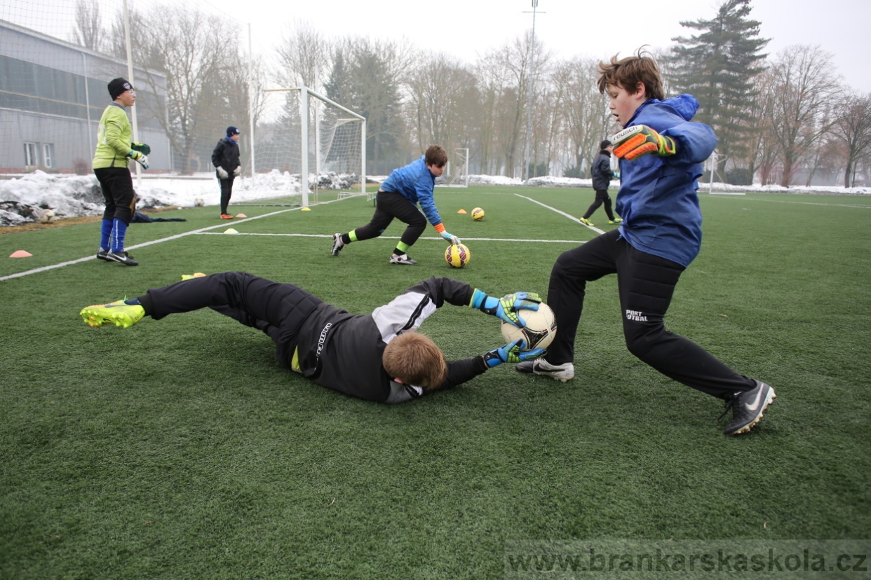 BFŠJCH - Zima 2017 - 5.2,2017