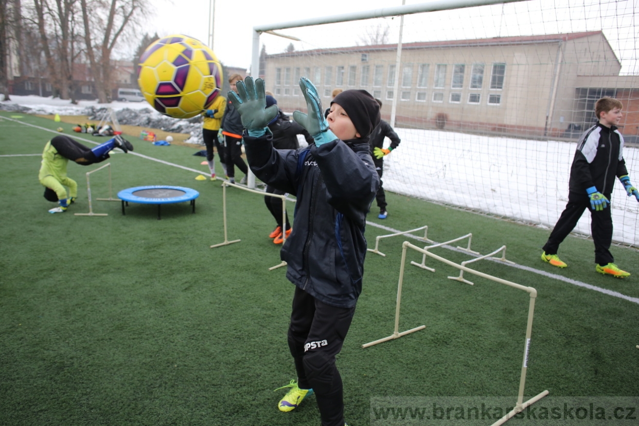 BFŠJCH - Zima 2017 - 5.2,2017