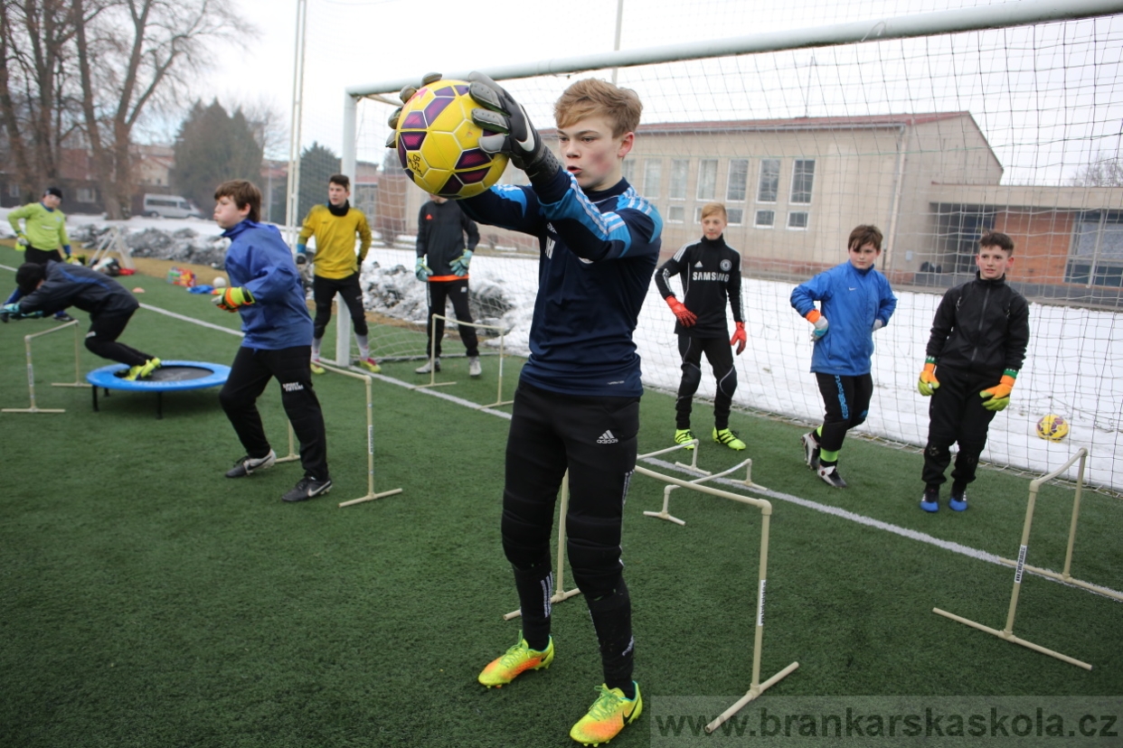 BFŠJCH - Zima 2017 - 5.2,2017