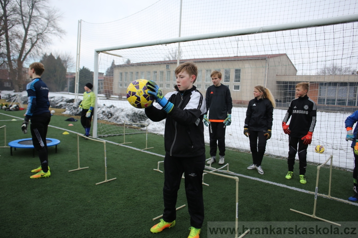 BFŠJCH - Zima 2017 - 5.2,2017