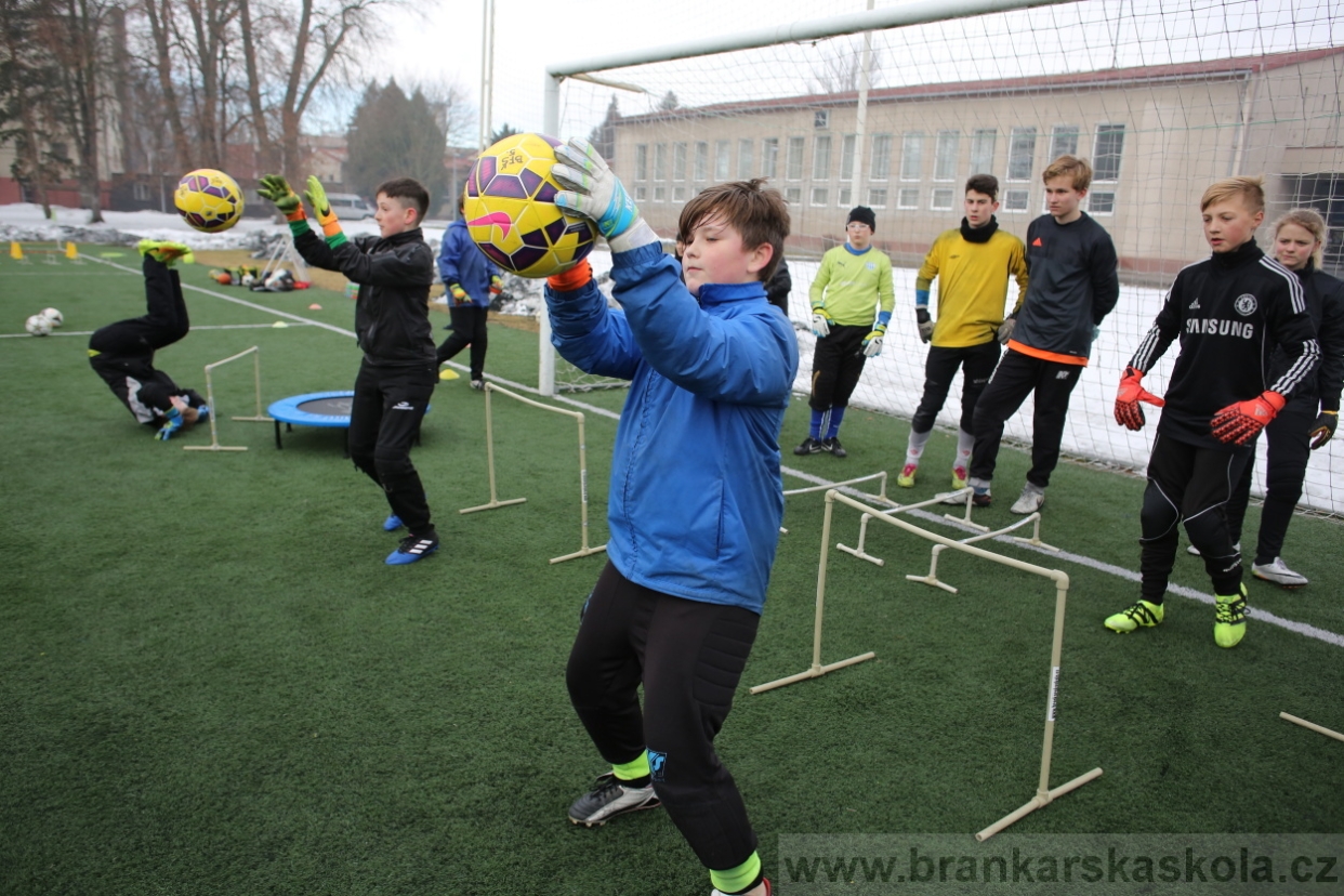 BFŠJCH - Zima 2017 - 5.2,2017