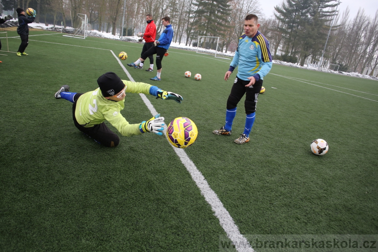 BFŠJCH - Zima 2017 - 5.2,2017