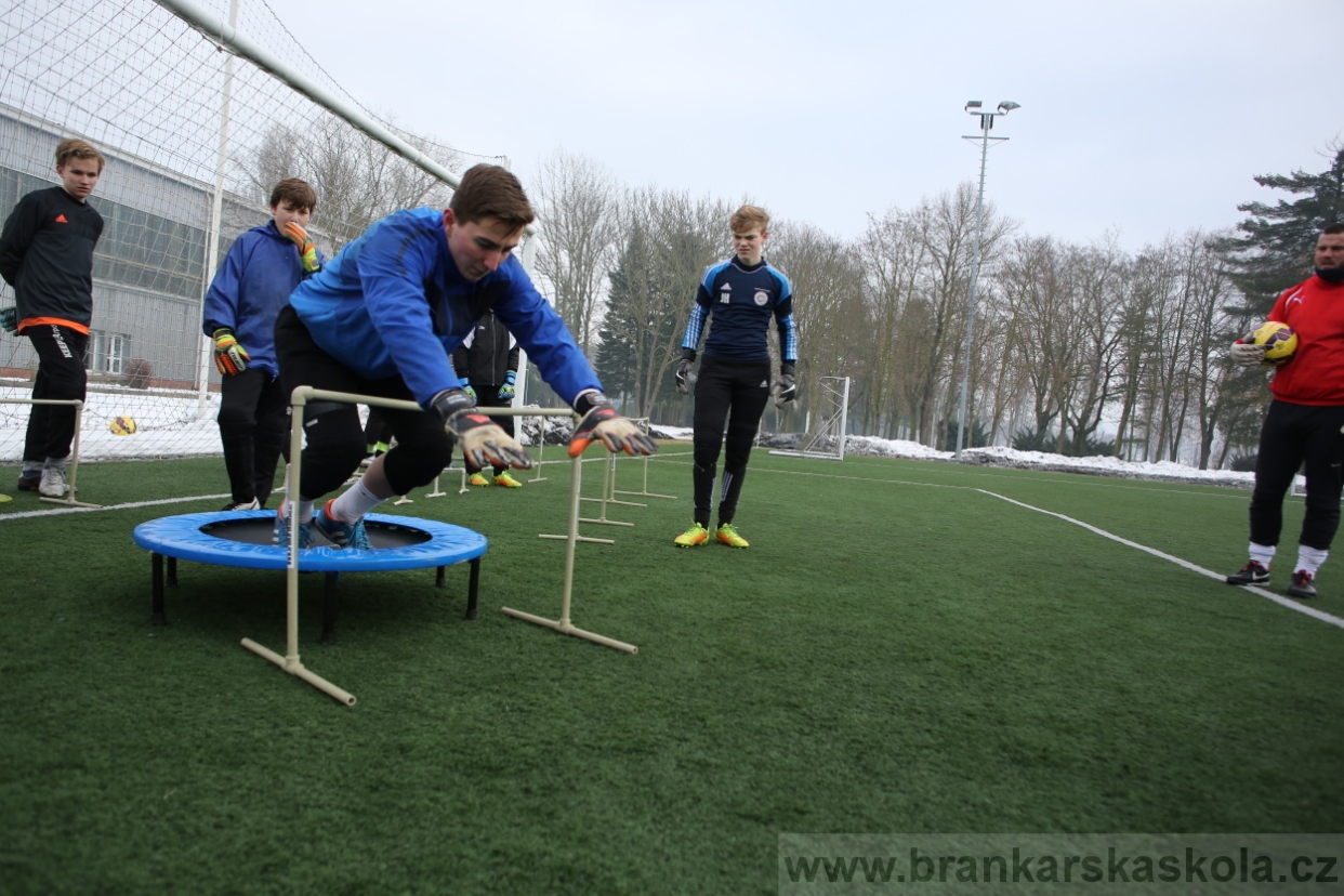 BFŠJCH - Zima 2017 - 5.2,2017